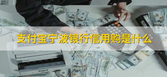 支付宝宁波银行信用购是什么,金融产品和服务