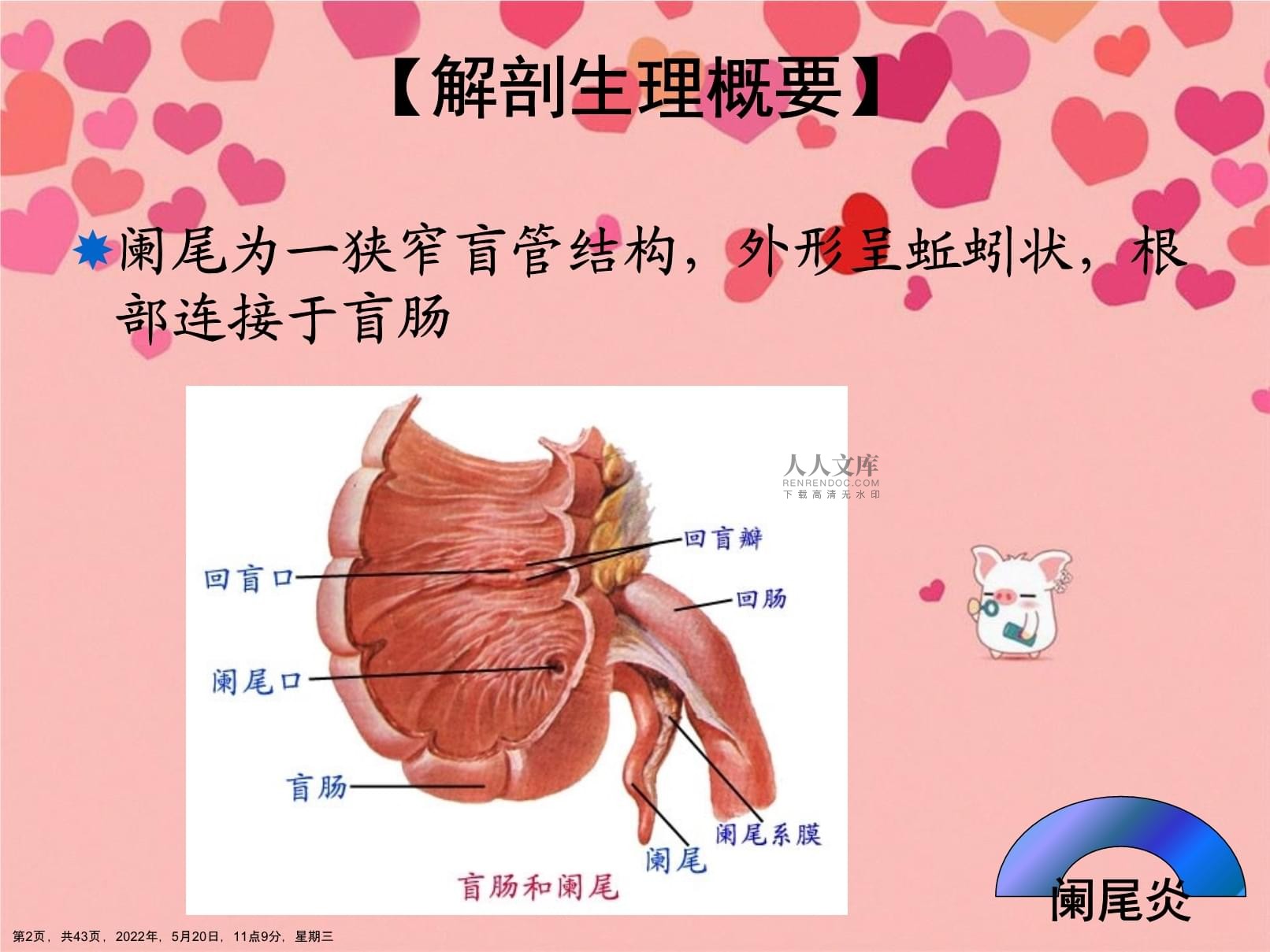 急性阑尾炎并发症的护理_急性阑尾炎术后并发症护理_急性阑尾炎术后并发症护理