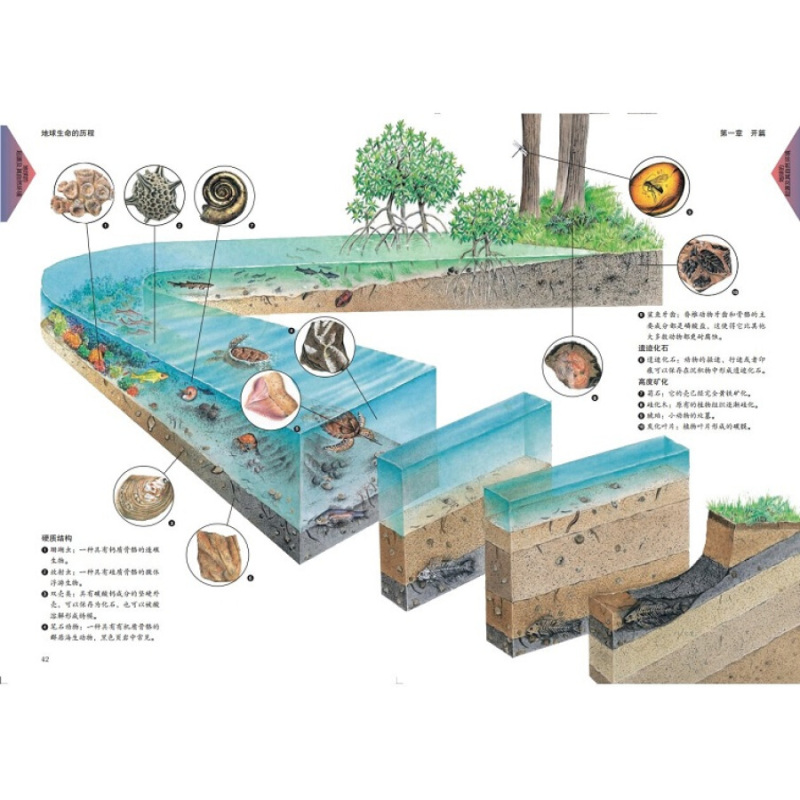 表层地球系统科学_地球表层系统_表层地球系统科学研究院