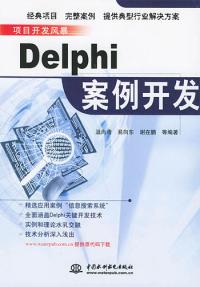 调用接口失败是什么意思_delphi 调用c dll_调用函数怎么调用