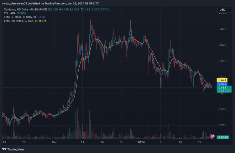 XRPADAAVAXDOT和TON下周预测价格分析