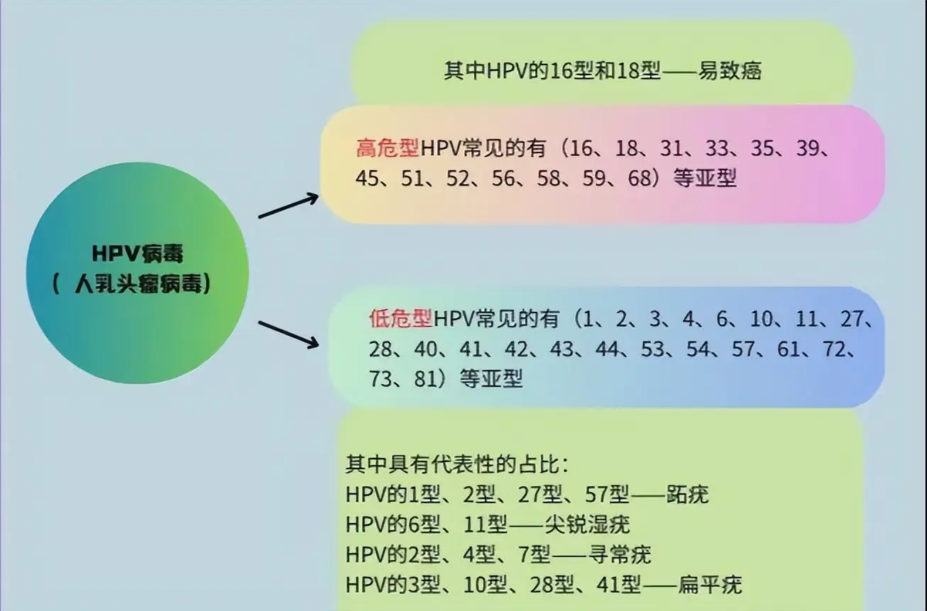 文件型病毒最主要感染_感染型病毒文件会被删除吗_病毒感染的文件类型是