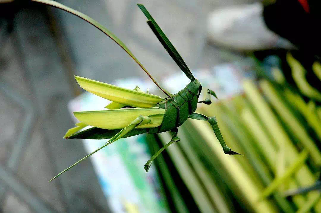 搜虎广告张瑶_搜虎广告_搜虎游戏