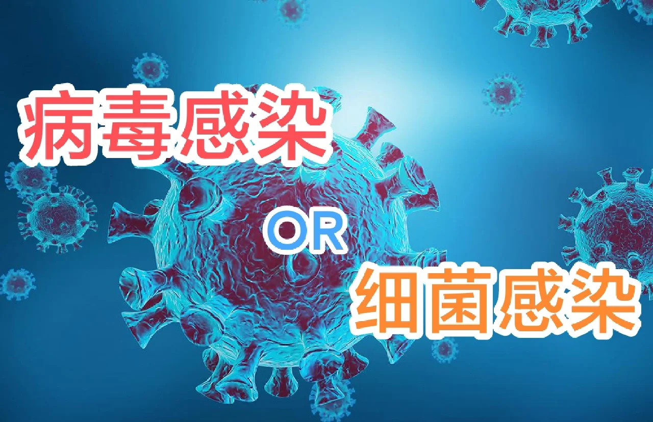 感染型病毒文件会被删除吗_病毒感染的文件类型是_文件型病毒最主要感染