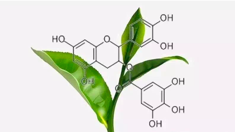 垃圾处理器加盟骗局是传销吗_垃圾处理器骗局真相揭晓_垃圾处理器的骗局