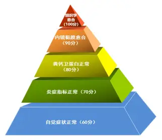 克罗恩诊断与鉴别诊断_克罗恩病的鉴别诊断_判断克罗恩病的依据是什么