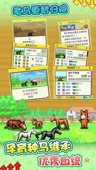 赛马牧场物语安卓不闪退