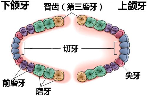 冠周炎