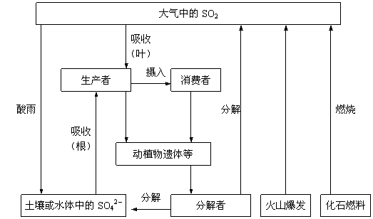 ecosystem可数不可数_可数名词_可数名词和不可数名词