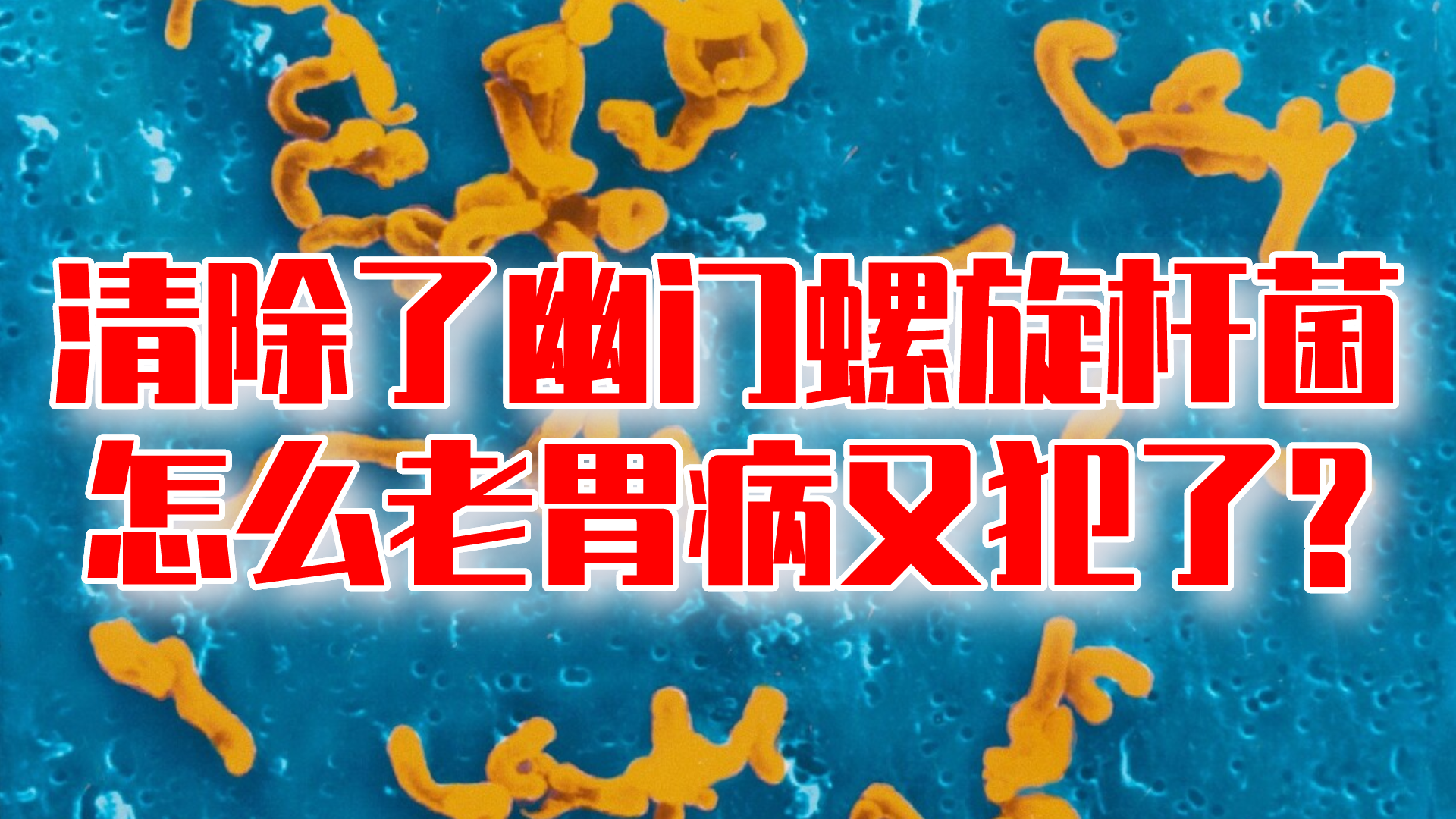 论坛根治胃病专家_我治好胃病的亲身经历天涯_根治胃病论坛