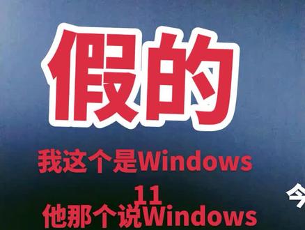 电脑WIN98模拟器_win98电脑_电脑Win98报故障代码06