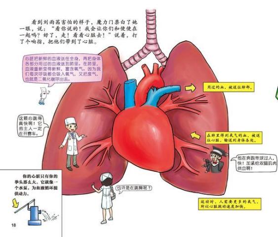 疾肺病偏方_冶疗肺病偏方_心肺病食疗偏方