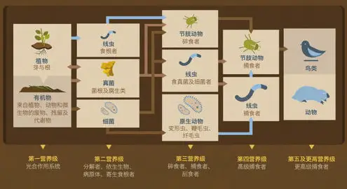 书籍借阅管理系统怎么做_书籍借阅管理系统设计_书籍借阅管理系统