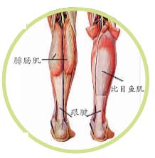 跟腱炎