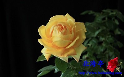 windows8.1界面_win8体验win10界面_win10桌面体验