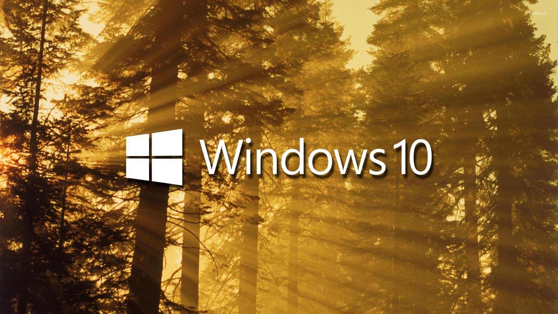 windows10原版下载_win10原版安装版下载_原版windows10专业版下载