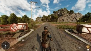 孤岛惊魂6第三人称mod
