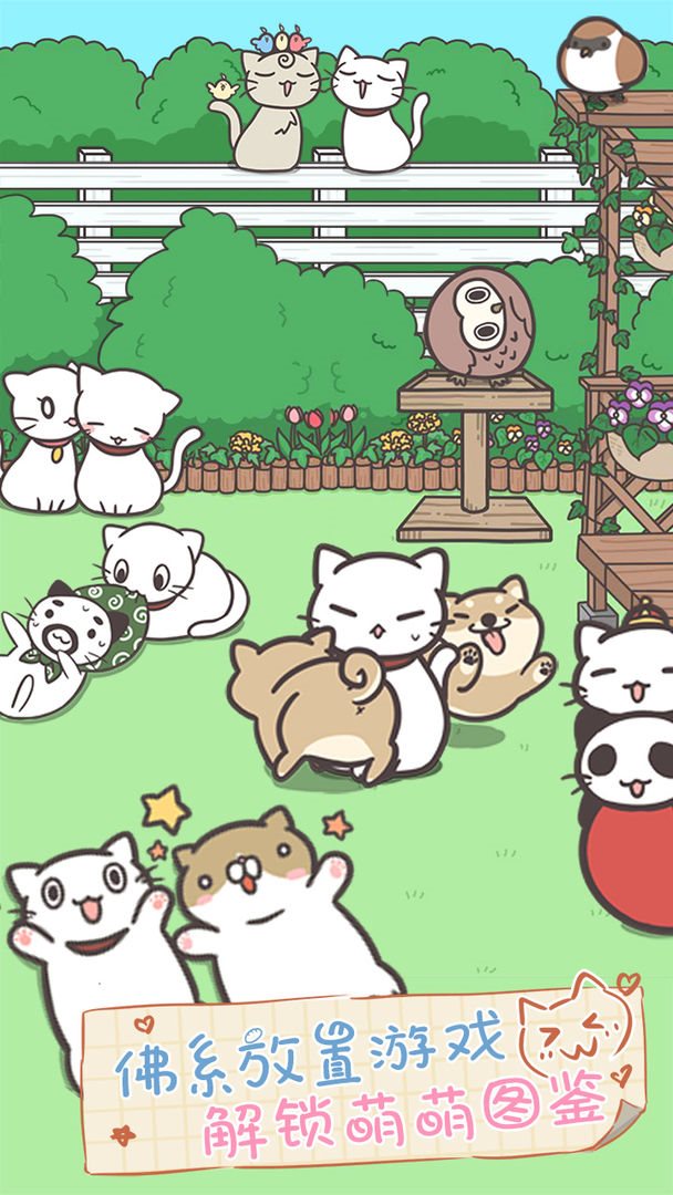 猫咪饲养日常游戏下载-猫咪饲养日常游戏最新版下载