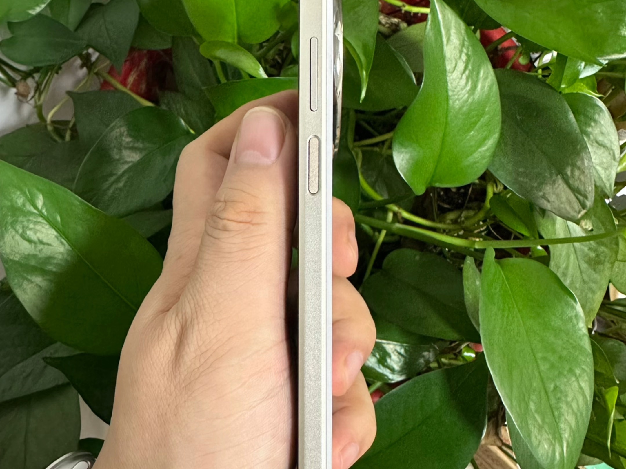 surface2怎么样_surface2怎么样_surface2怎么样