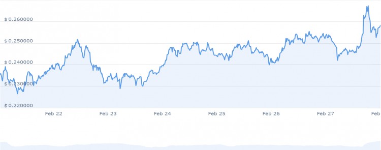 2月28日立即投资的6种最佳山寨币ARWEAVEINJECTIVEDOGECOIN