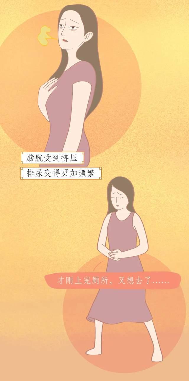 怀孕女人的肚子_怀孕女人生孩子肚子疼视频_女人怎样怀孕