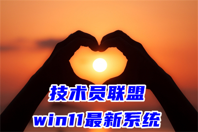 联盟管理系统_技术员联盟win7系统_技术员联盟系统怎么安装