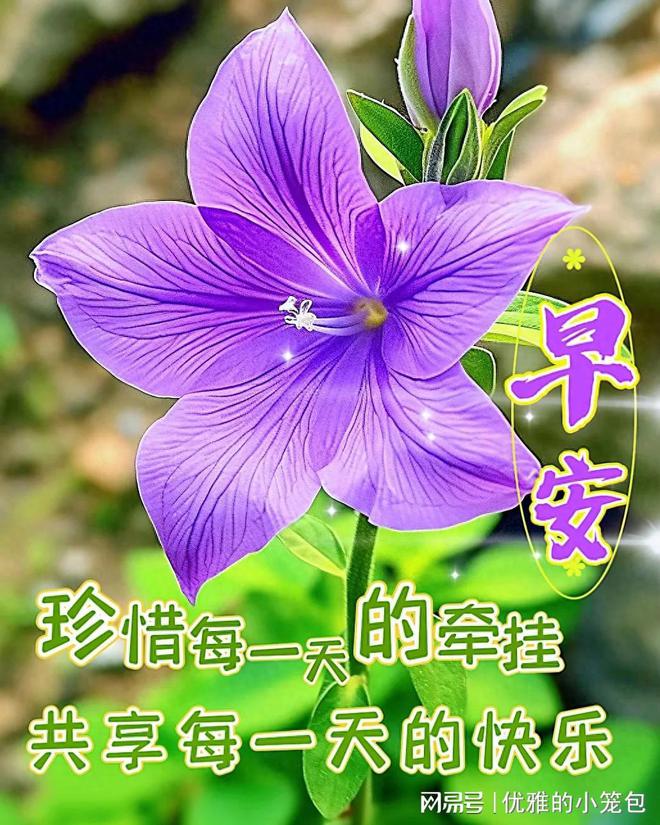 iphone系统表情_苹果最新系统ios10表情_苹果表情更新ios12
