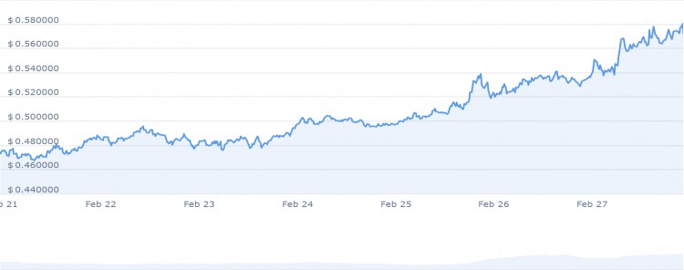 2月28日立即投资的6种最佳山寨币ARWEAVEINJECTIVEDOGECOIN