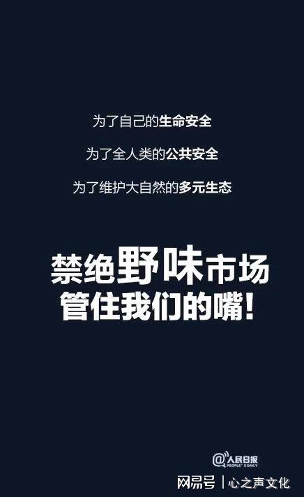 绵羊皮皮板_绵羊皮哪里收_绵羊皮价格一般多钱