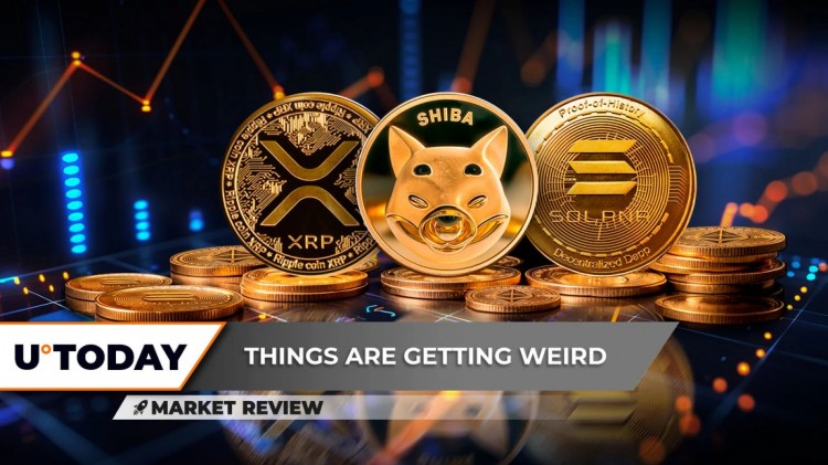 XRP价格大幅回升柴犬SHIB是其中最弱的不要让SOLANASOL的价格欺