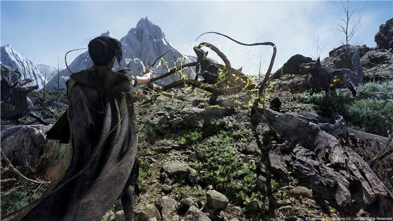 魔咒之地十六项修改器