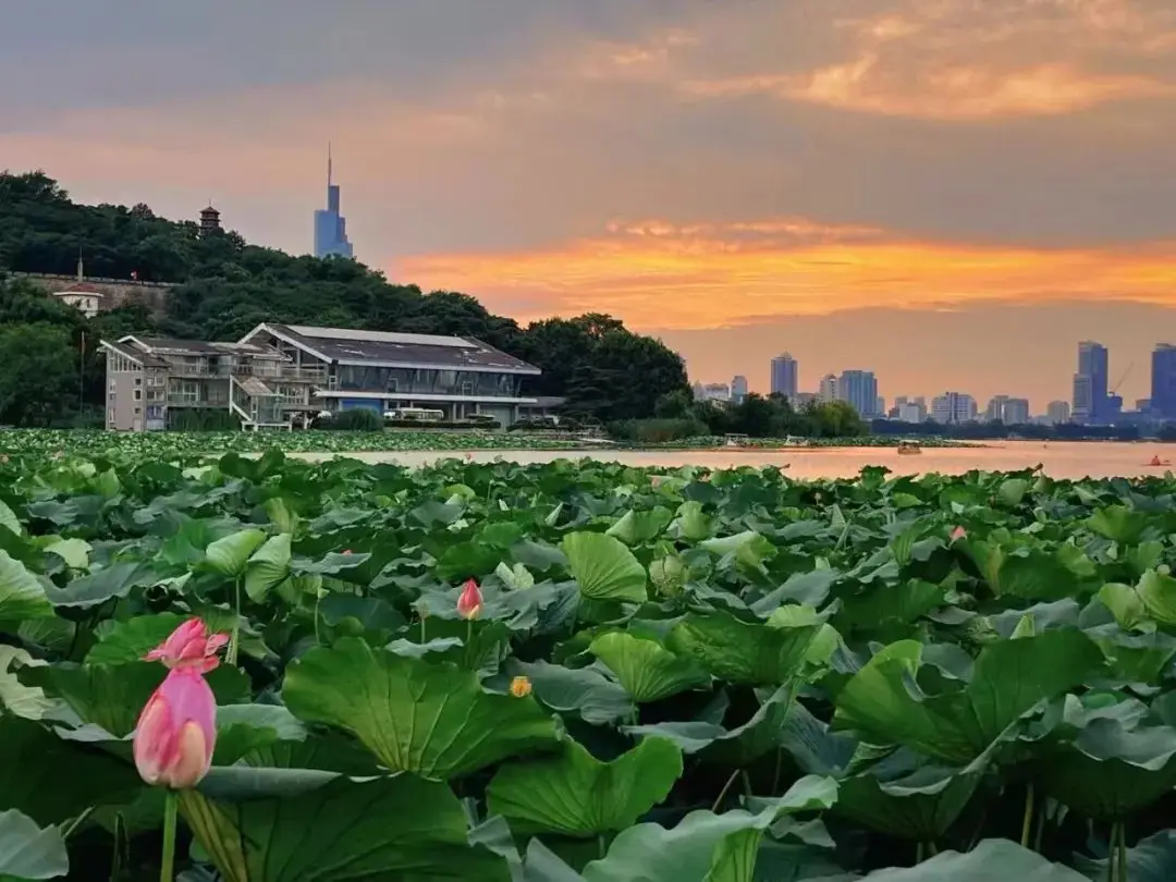 合同法合同保存期限_合同的保存期限_合同保存期限