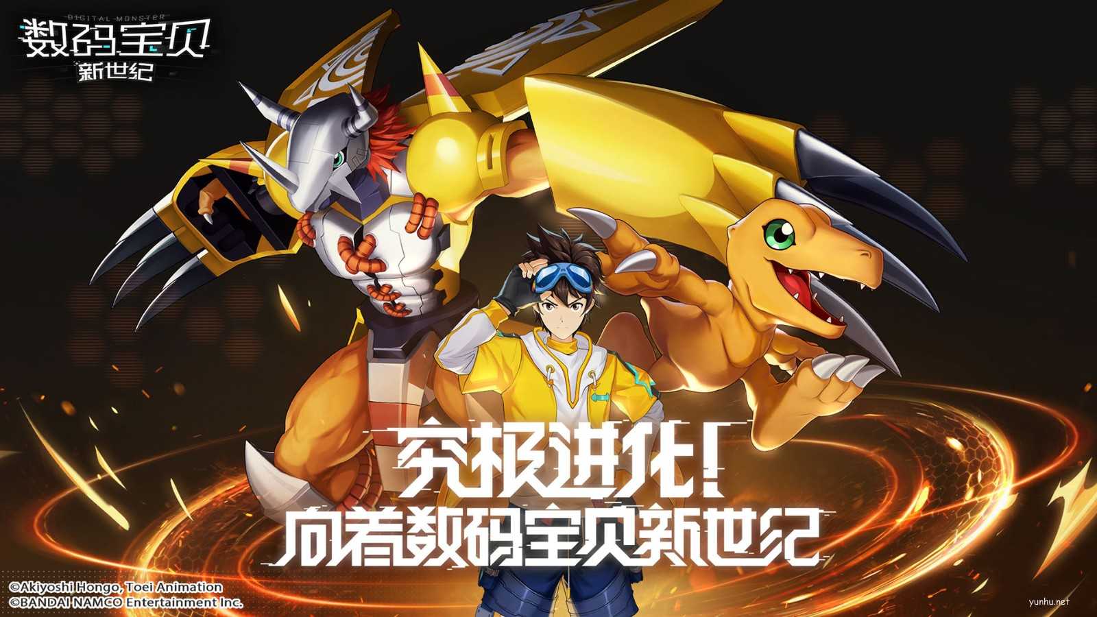 数码内存相机卡用什么格式_数码相机内存卡错误是怎么回事_数码相机用的内存卡