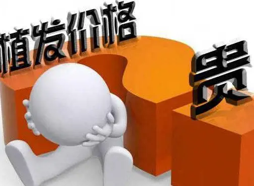 recover4allpro破解版_破解版游戏盒子大全_破解版recovery