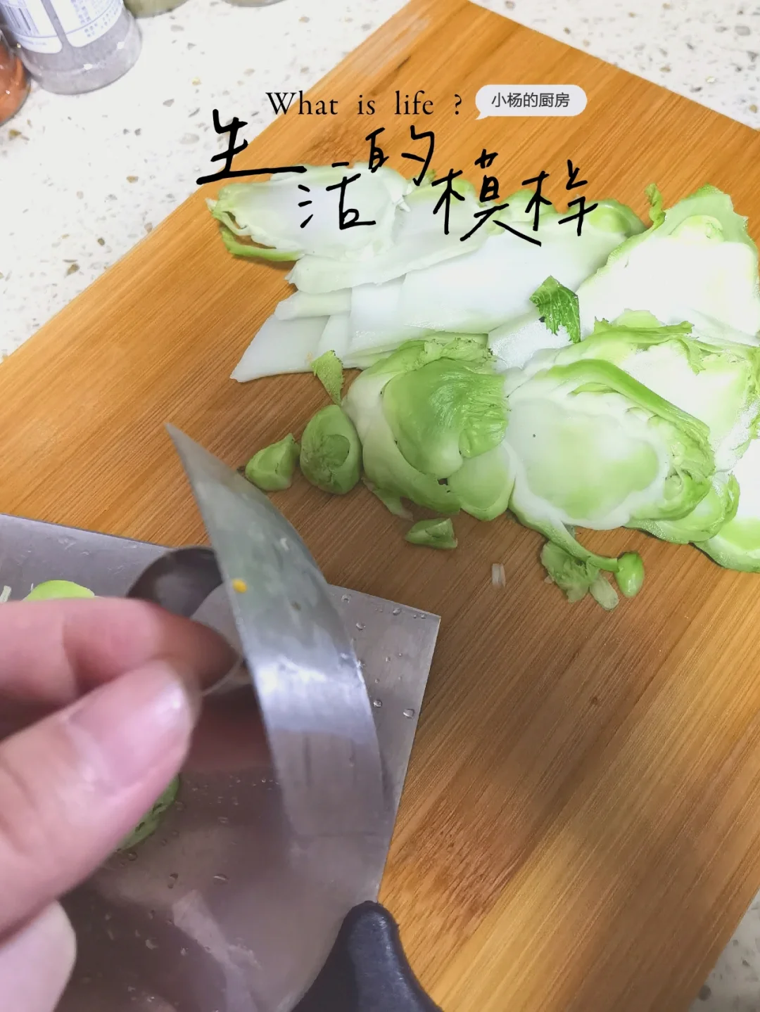 工具下载软件_fvie.exe工具下载_工具下载网站