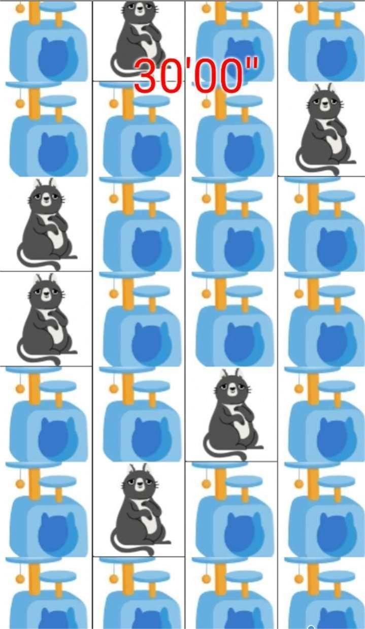 打猫猫