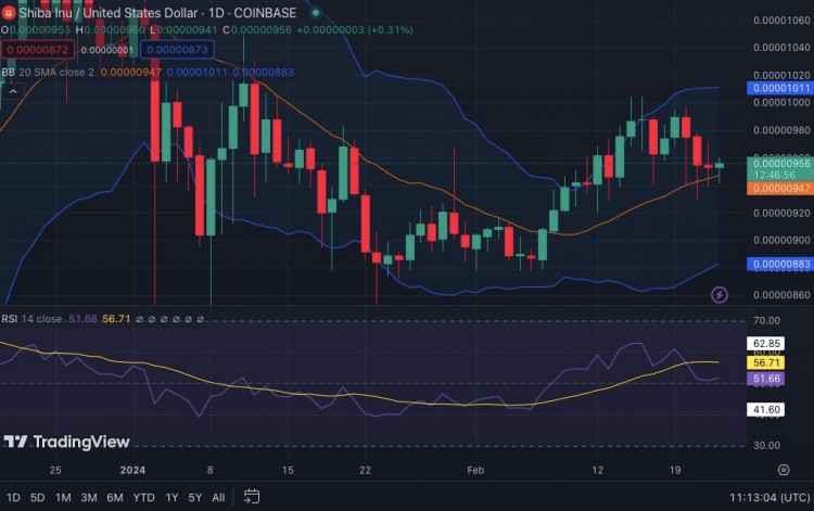 价格分析SHIB突破能否将其推至12个月高点