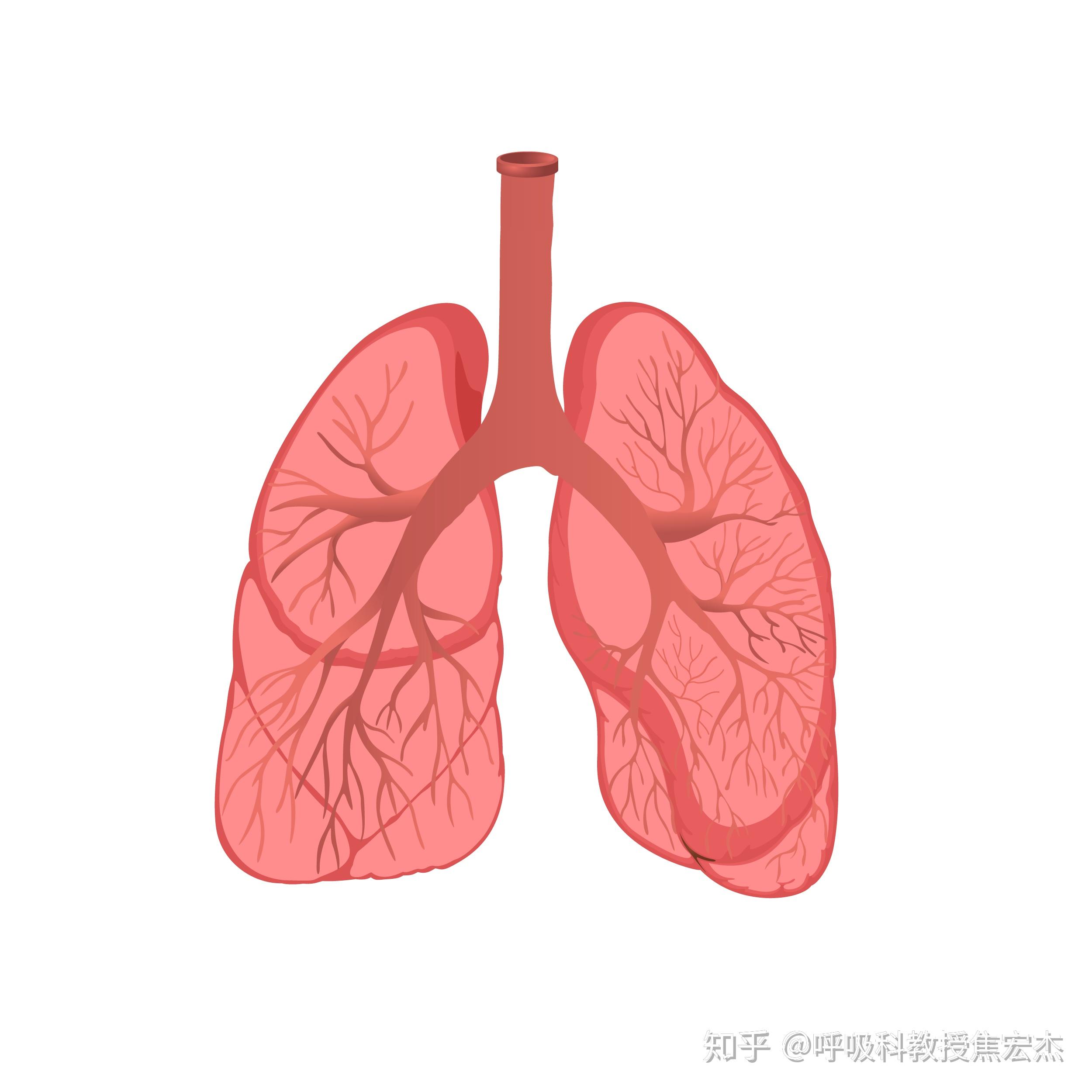 支气管炎症治疗需要多久_支气管炎治疗时间_支气管炎治疗疗程