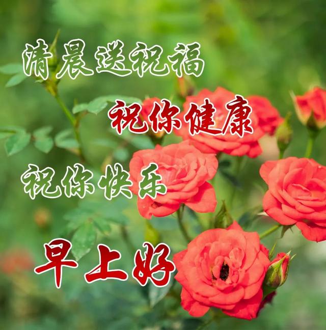 急性白血病成活率_急性白血病存活期多久_急性白血病活了20天