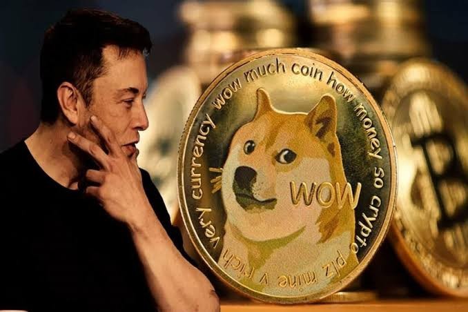 DOGE人民货币重新定义数字金融