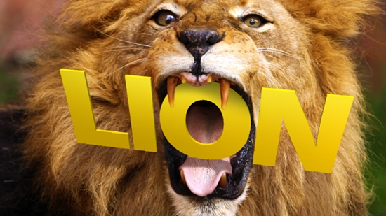 主题教育总要求_mac os x lion 主题_主题教育