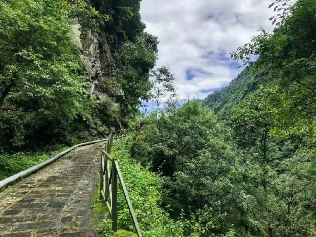 苍山感通索道旅游多少钱_苍山索道多少钱一位_苍山索道游玩需要时间