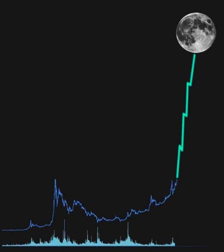 硬币持有者准备好抽水吧