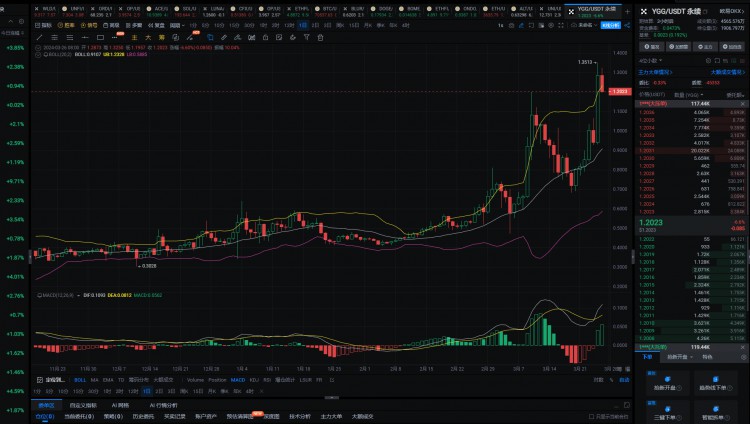 2024年真正的100倍币只有这6种