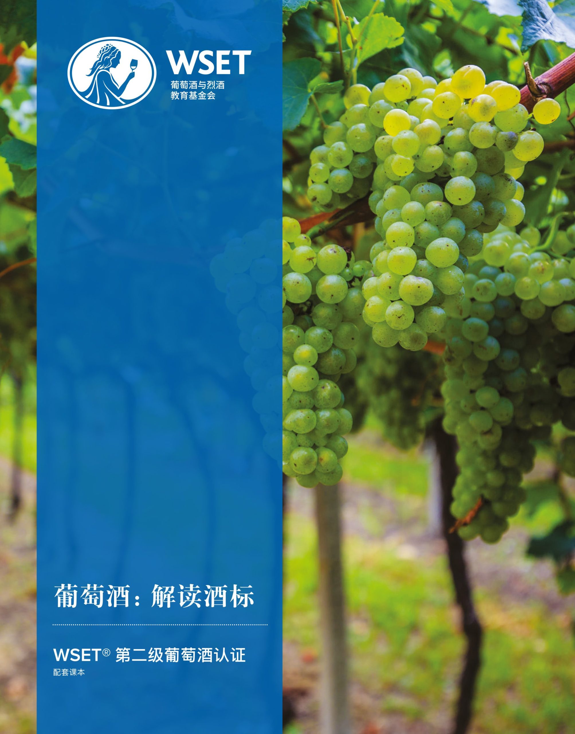 中文下载网_中文下载软件_wine中文 下载