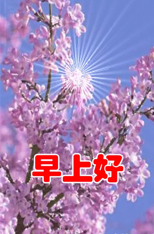 苹果表情更新ios12_苹果最新系统ios10表情_iphone系统表情