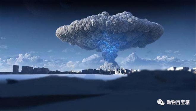 nuke中文版下载_nuke汉化包_nukemap3d下载 汉化版