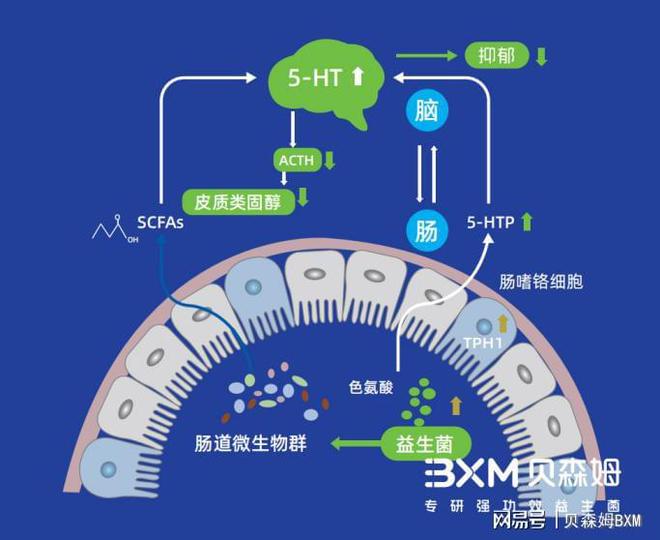 克罗恩病的大便图片_克罗恩大便形状_大便病是什么病