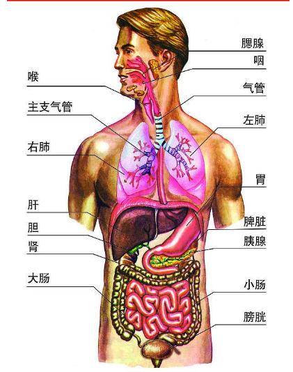 冠心病护理计划单的书写范文_冠心病护理计划单图_护理冠心病单计划图表