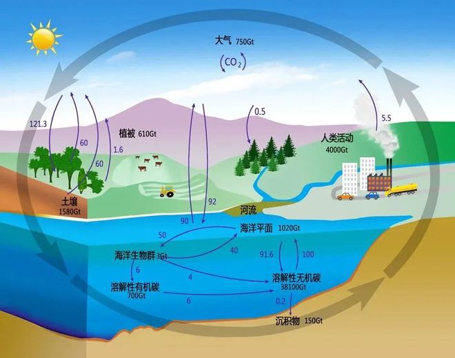 表层地球系统科学_表层地球系统科学研究院_地球表层系统